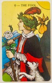 card-11